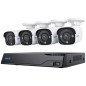 Reolink NVS8-8MB4 NVR + kamera(er)